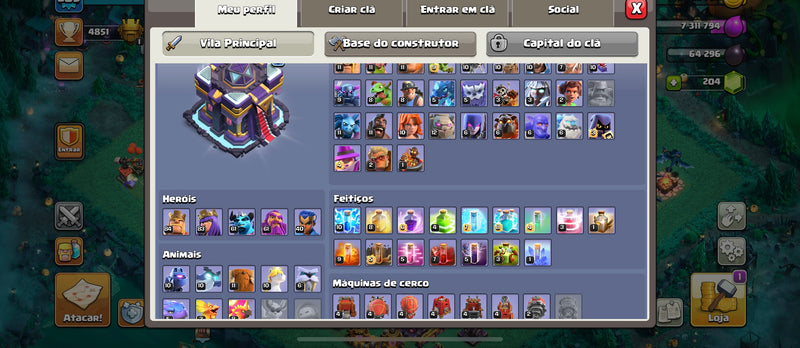 Cv15 semi full | 2 Paisagens | 11 Skins | Equipamentos 80% | (+15)