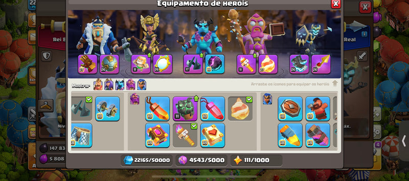 Cv17 | 2 Paisagens | 18 Skins | Equipamentos 89% | (+51)