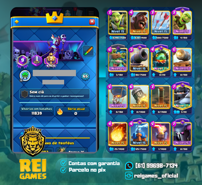 Nível 65 | 37 nível 15 | 17 evoluções | 148 emotes | 9 anos |